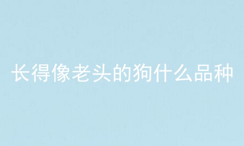 长得像老头的狗什么品种