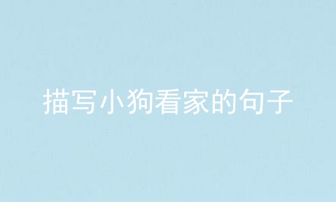 描写小狗看家的句子