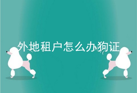 外地租户怎么办狗证