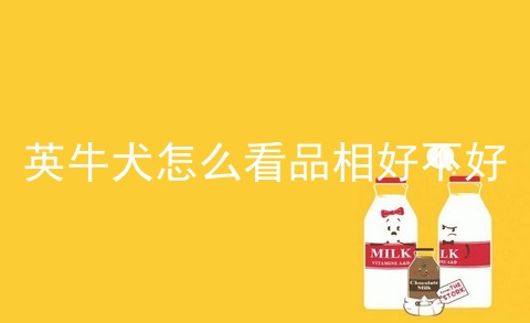 英牛犬怎么看品相好不好