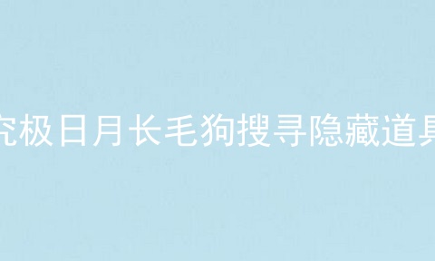 究极日月长毛狗搜寻隐藏道具