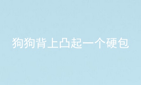 狗狗背上凸起一个硬包