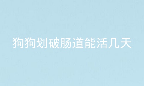 狗狗划破肠道能活几天