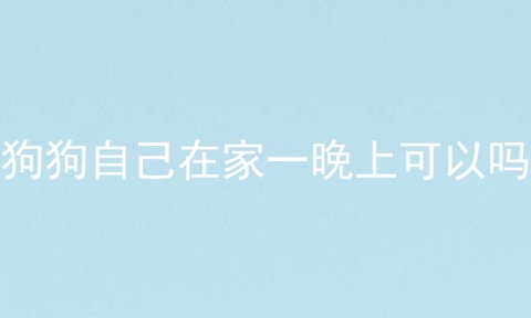 狗狗自己在家一晚上可以吗
