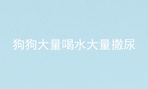 狗狗大量喝水大量撒尿