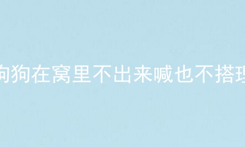 狗狗在窝里不出来喊也不搭理