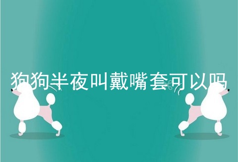 狗狗半夜叫戴嘴套可以吗