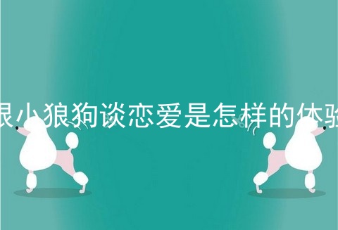 跟小狼狗谈恋爱是怎样的体验