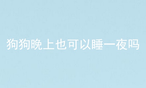 狗狗晚上也可以睡一夜吗