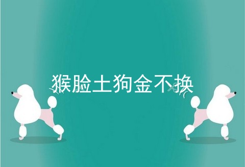 猴脸土狗金不换