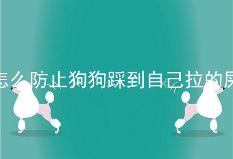 怎么防止狗狗踩到自己拉的屎