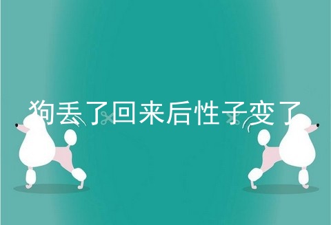 狗丢了回来后性子变了