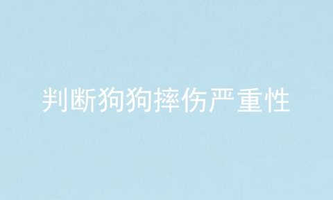 判断狗狗摔伤严重性