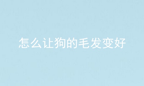 怎么让狗的毛发变好