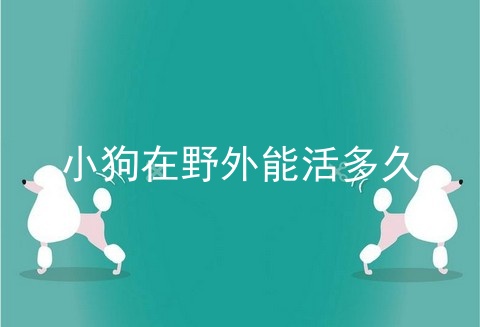 小狗在野外能活多久
