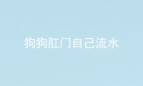 狗狗肛门自己流水