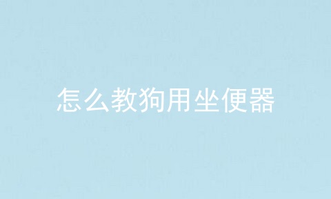 怎么教狗用坐便器