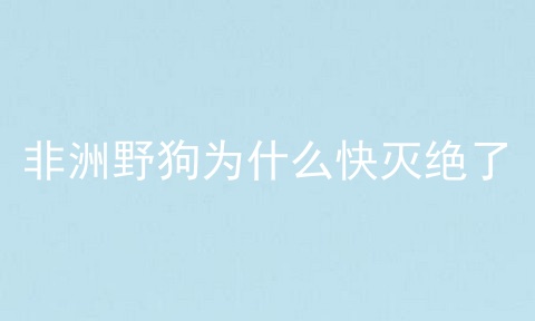 非洲野狗为什么快灭绝了