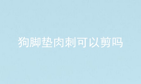 狗脚垫肉刺可以剪吗