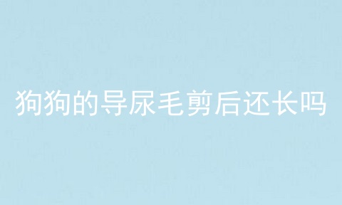 狗狗的导尿毛剪后还长吗
