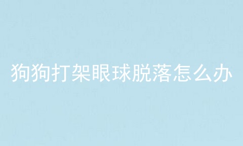狗狗打架眼球脱落怎么办