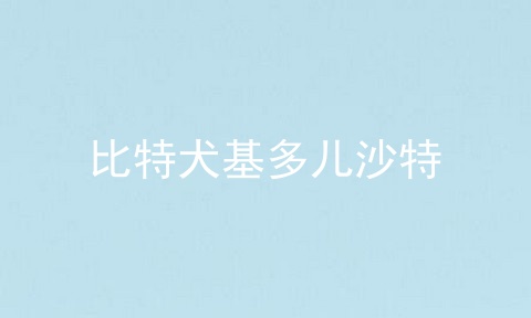 比特犬基多儿沙特
