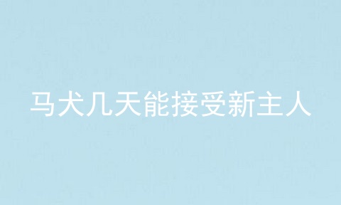 马犬几天能接受新主人