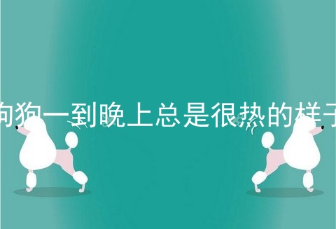 狗狗一到晚上总是很热的样子