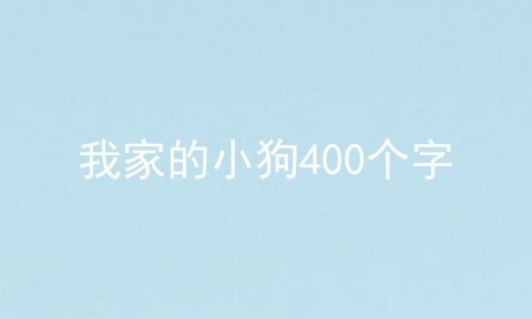 我家的小狗400个字
