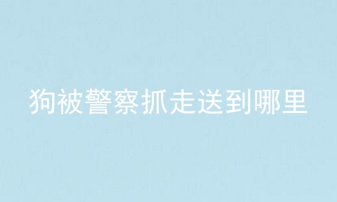 狗被警察抓走送到哪里