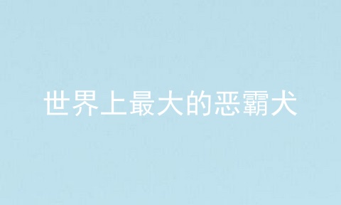 世界上最大的恶霸犬
