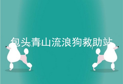 包头青山流浪狗救助站