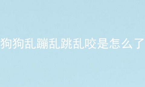狗狗乱蹦乱跳乱咬是怎么了