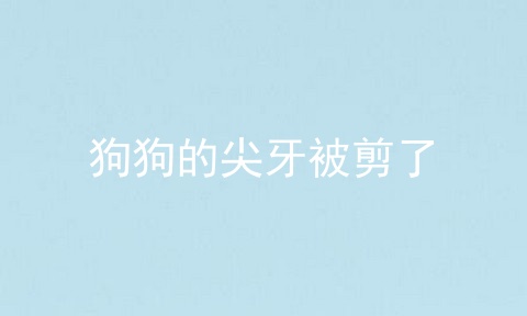 狗狗的尖牙被剪了