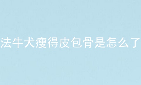 法牛犬瘦得皮包骨是怎么了