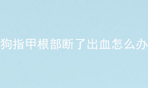 狗指甲根部断了出血怎么办