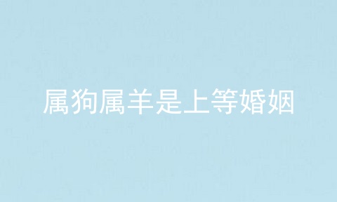 属狗属羊是上等婚姻