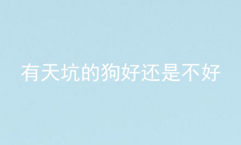 有天坑的狗好还是不好
