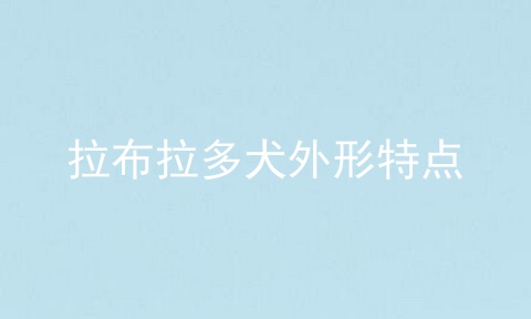 拉布拉多犬外形特点