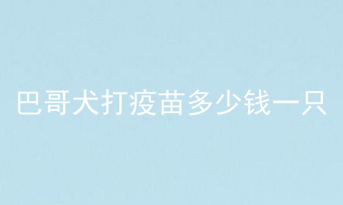 巴哥犬打疫苗多少钱一只