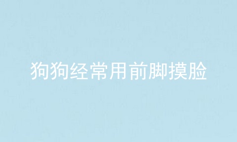 狗狗经常用前脚摸脸