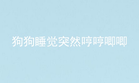 狗狗睡觉突然哼哼唧唧