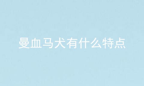 曼血马犬有什么特点