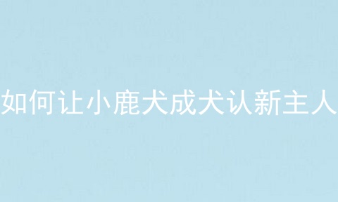 如何让小鹿犬成犬认新主人