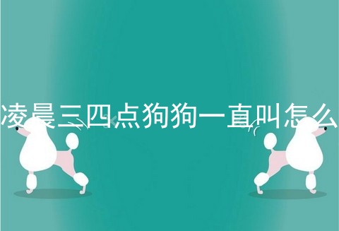 凌晨三四点狗狗一直叫怎么