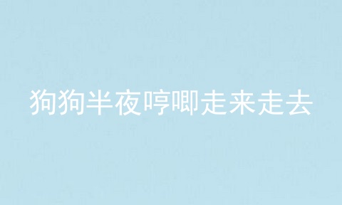 狗狗半夜哼唧走来走去