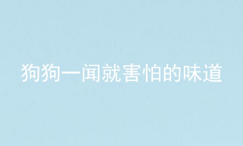 狗狗一闻就害怕的味道