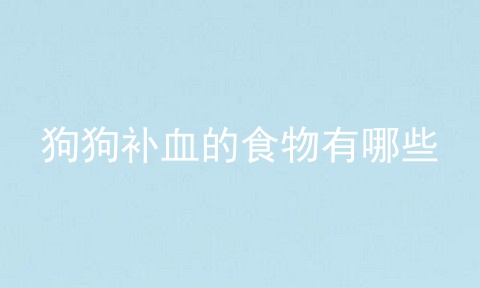 狗狗补血的食物有哪些