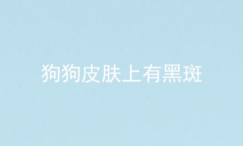 狗狗皮肤上有黑斑