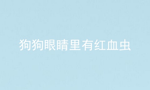 狗狗眼睛里有红血虫